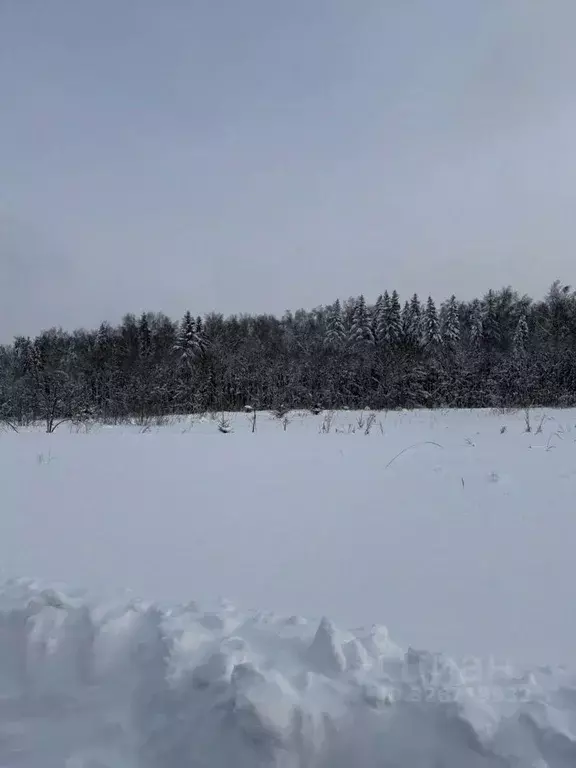 Участок в Московская область, Дмитровский муниципальный округ  (1.0 ... - Фото 2