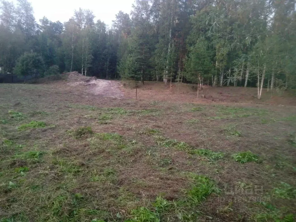 Участок в Тюменская область, Ишимский район, с. Боровое Советская ул., ... - Фото 1