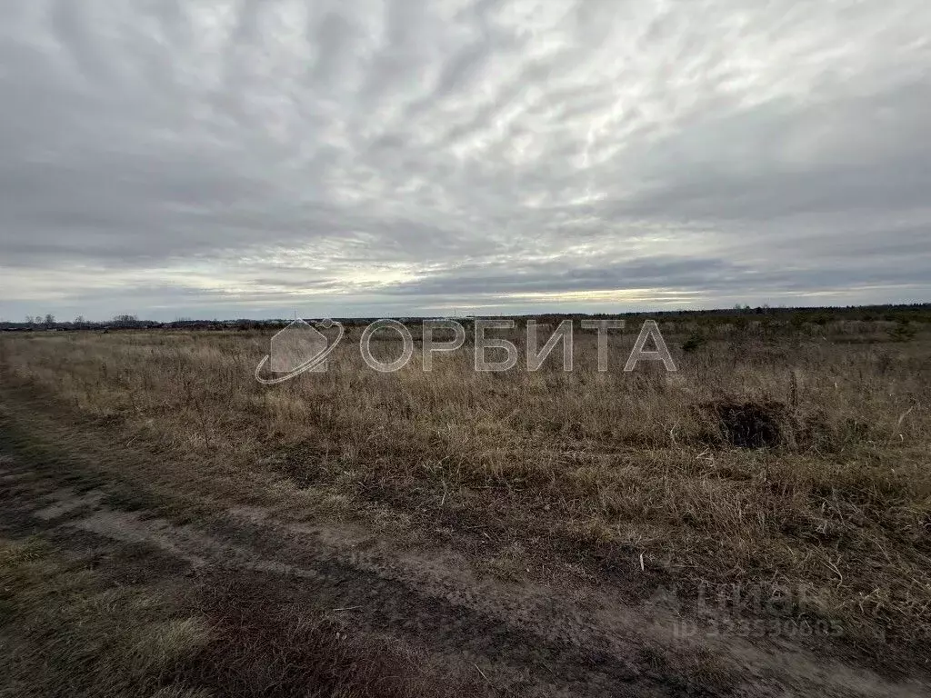 Участок в Тюменская область, Тюменский муниципальный округ, Каменское ... - Фото 2