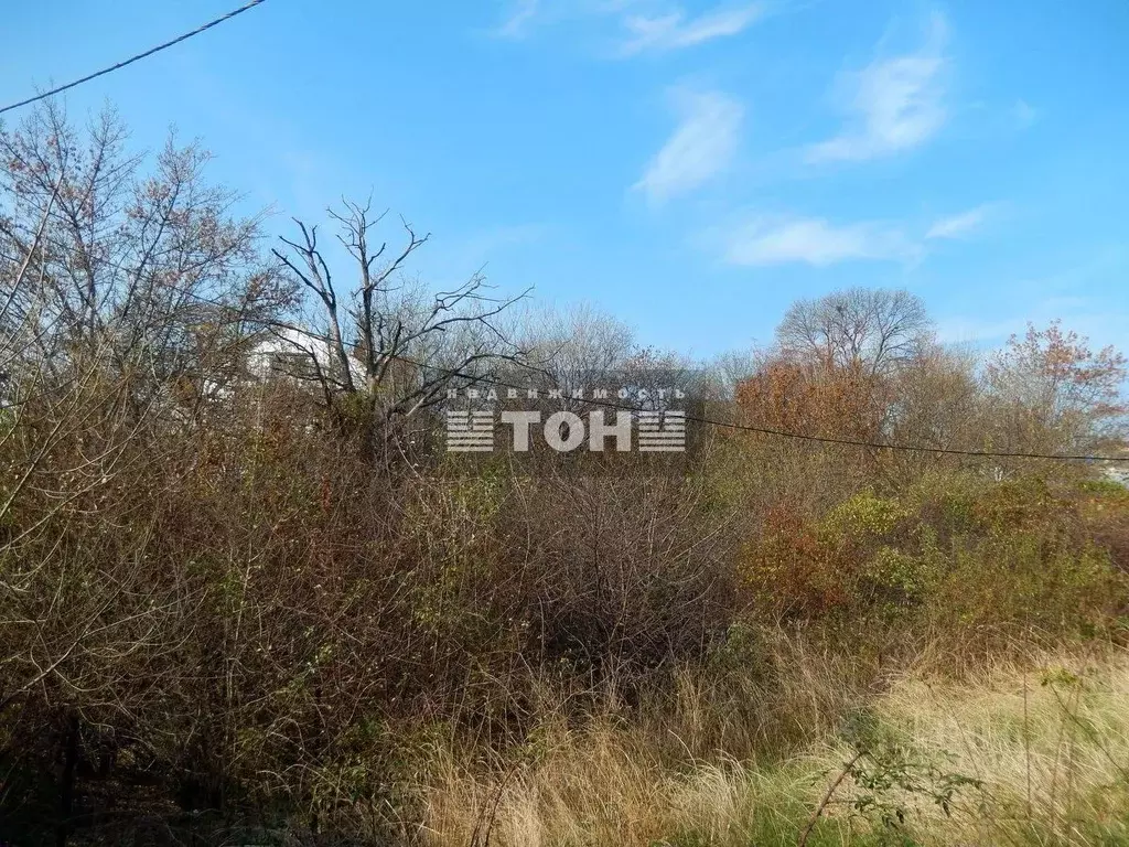 Участок в Краснодарский край, Геленджик Голубая Бухта мкр, ул. Ольги ... - Фото 1