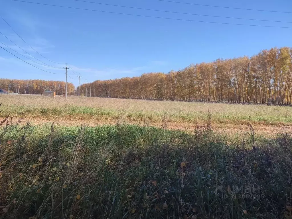 Участок в Омская область, Омский район, с. Усть-Заостровка ул. 20-я ... - Фото 0