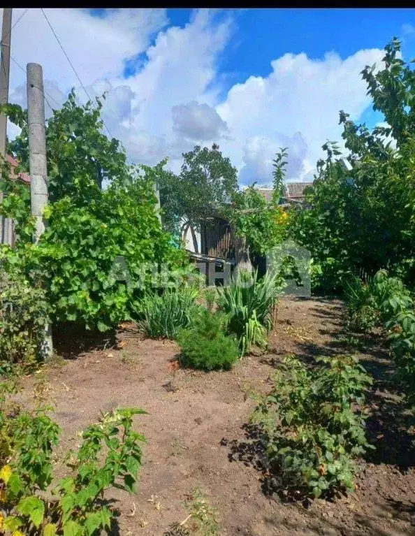 Дом в Краснодарский край, Тимашевск Выборная ул., 18 (34 м) - Фото 1