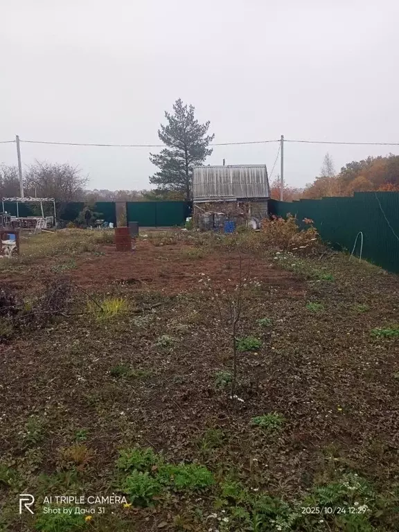 Участок в Белгородская область, Белгородский район, Тавровское с/пос, ... - Фото 1