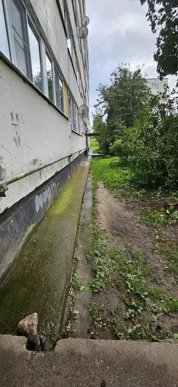 3-к кв. Ленинградская область, Волосовский район, Бегуницкое с/пос, ... - Фото 1