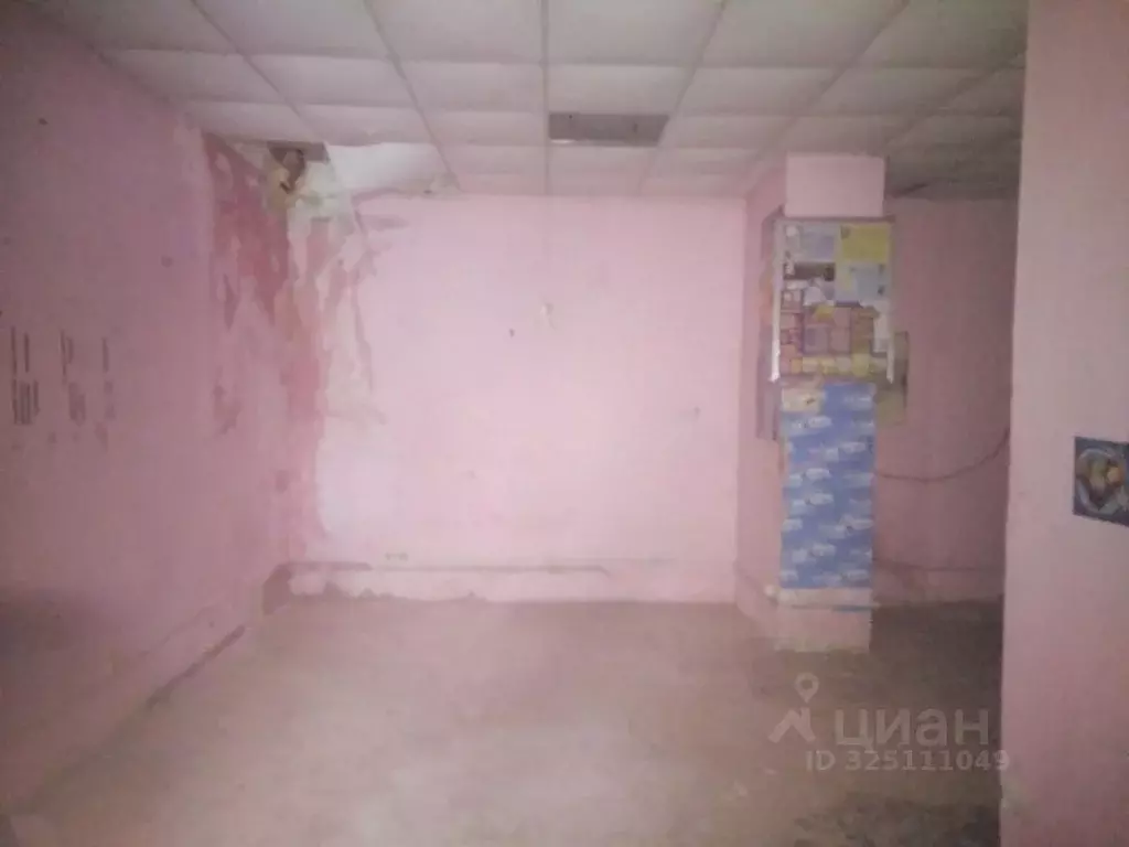 Помещение свободного назначения в Липецкая область, Липецк Московская ... - Фото 2