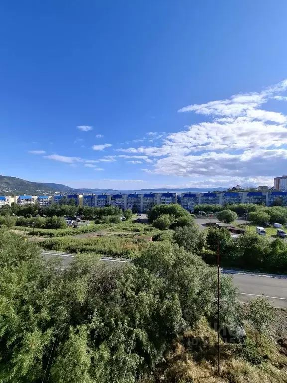 1-к кв. Камчатский край, Петропавловск-Камчатский ул. Карбышева, 4 ... - Фото 2