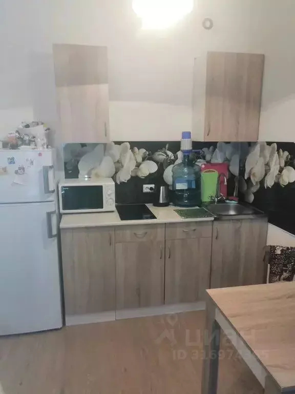 Студия Санкт-Петербург Комендантский просп., 66к1 (24.0 м) - Фото 0