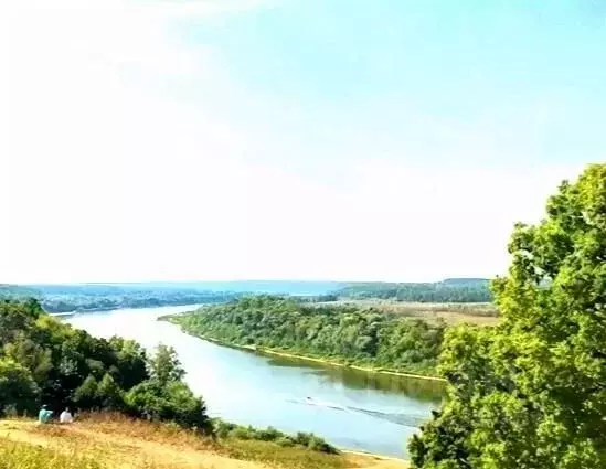 Участок в Рязанская область, Рыбновский муниципальный округ, с. ... - Фото 1