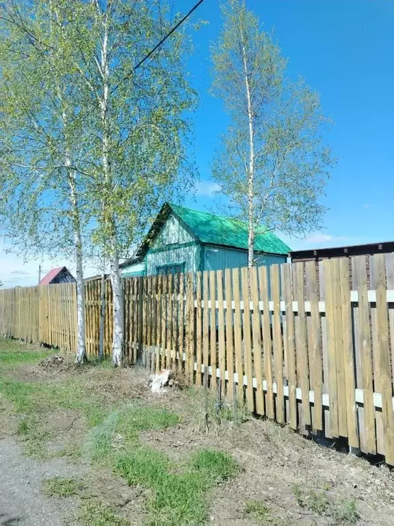 Участок в Тюменская область, Тюмень Факел СНТ, 1-я линия (10.0 сот.) - Фото 1