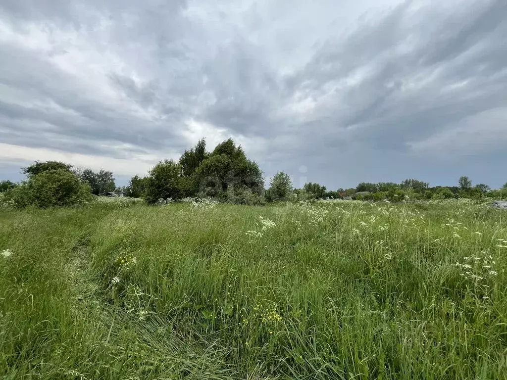 Участок в Костромская область, Костромской район, Самсоновское с/пос, ... - Фото 1