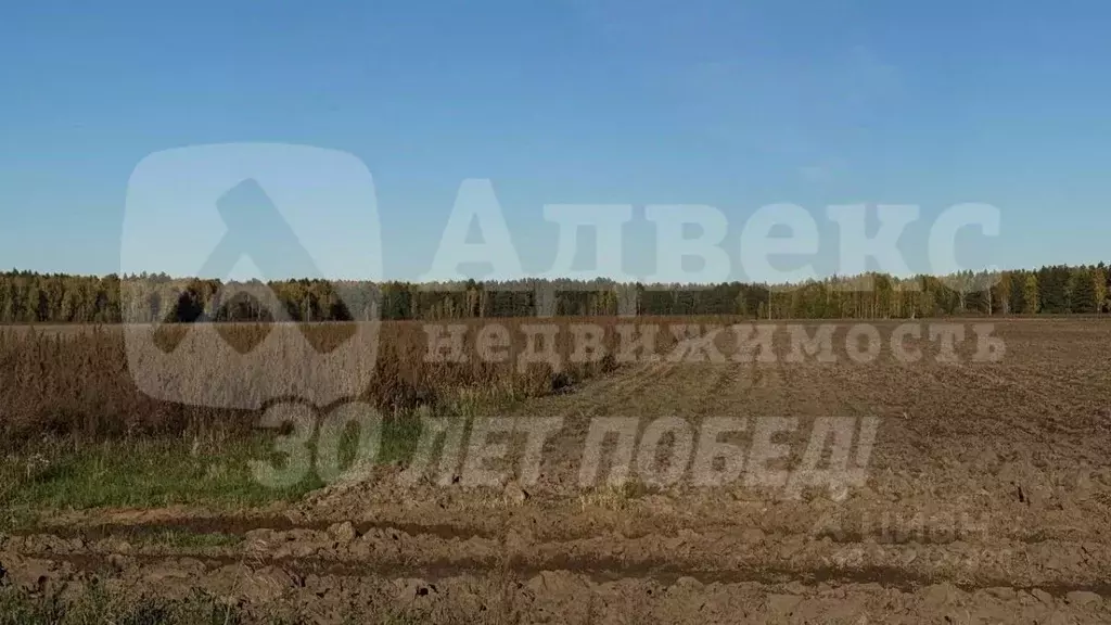 Участок в Тюменская область, Тюменский муниципальный округ, с. Каменка ... - Фото 2