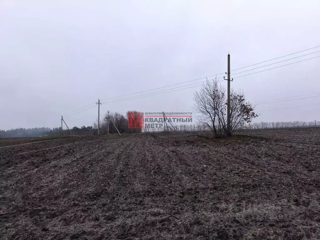 Участок в Белгородская область, Старооскольский городской округ, с. ... - Фото 0