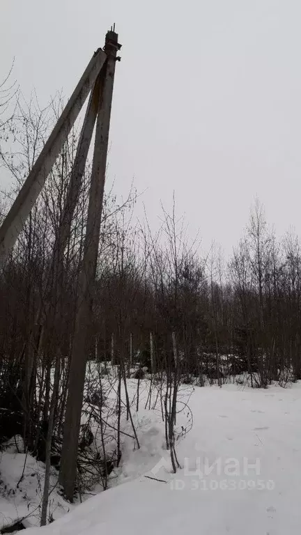 Участок в Московская область, Клин городской округ, Лесное ДНП  (24.0 ... - Фото 1
