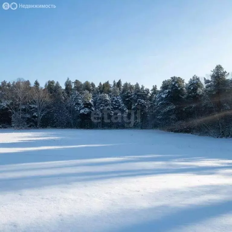 Участок в Ярославская область, Тутаевский муниципальный округ, деревня ... - Фото 2