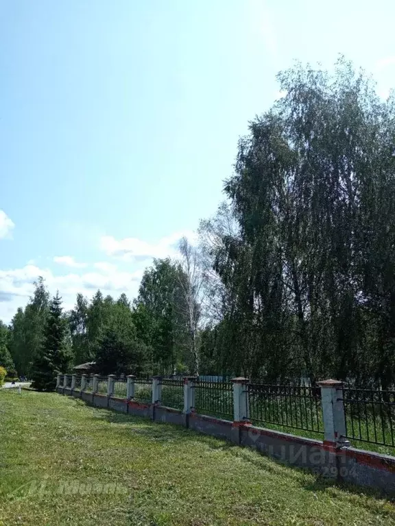 Участок в Московская область, Щелково городской округ, д. Супонево ул. ... - Фото 1