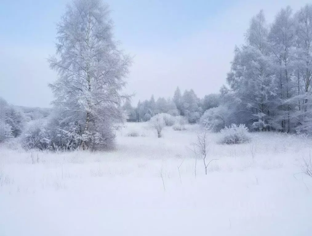 Участок в Ярославская область, Гаврилов-Ямский муниципальный округ, с. ... - Фото 2