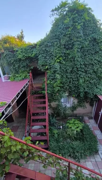 Комната Краснодарский край, Ейск ул. Павлова, 96 - Фото 0