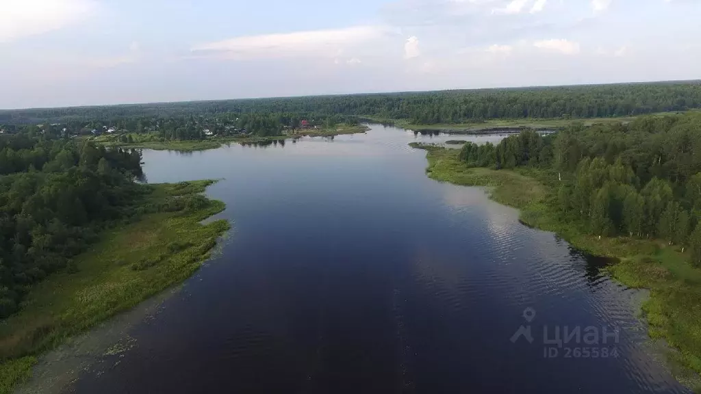 Участок в Тверская область, Кимрский муниципальный округ, д. Грозино  ... - Фото 0