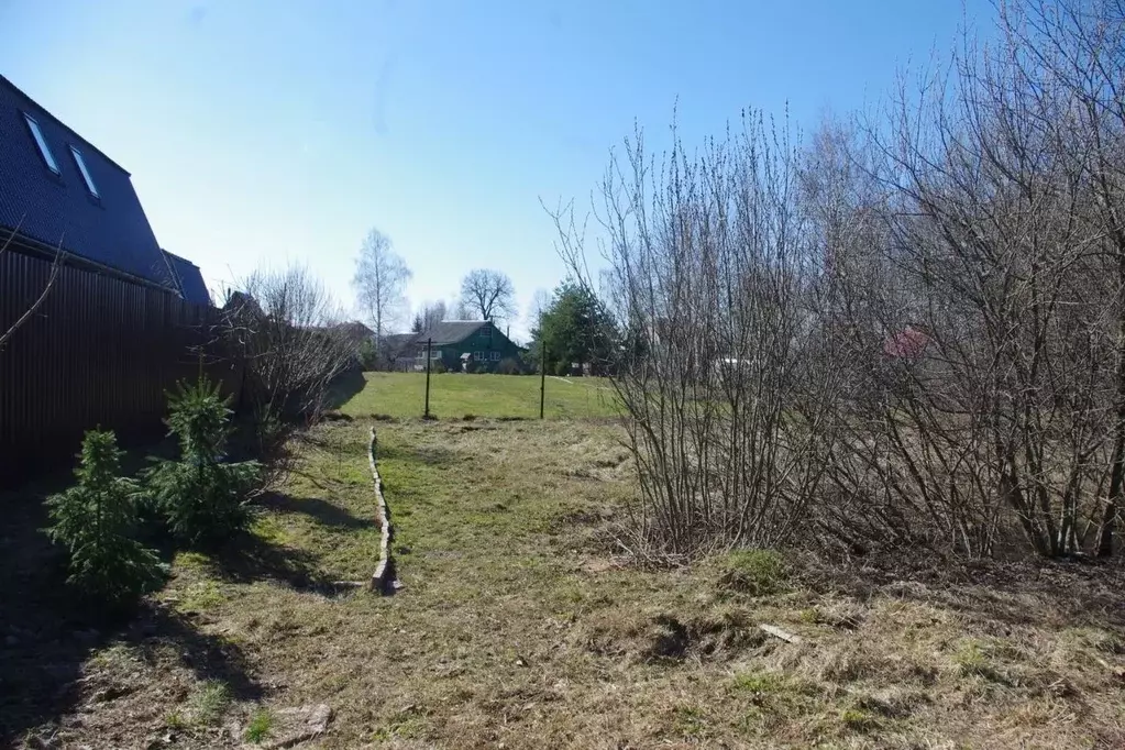 Участок в Московская область, Пушкинский городской округ, д. ... - Фото 2