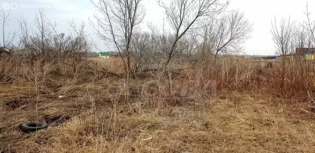 Участок в Тюменская область, Исетский муниципальный округ, село ... - Фото 2