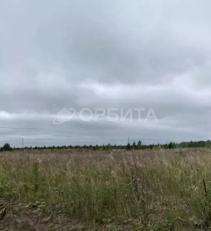 Участок в Тюменская область, Нижнетавдинский район, д. Московка  (10.0 ... - Фото 1