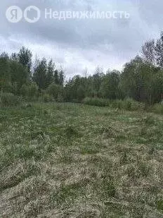 Участок в Псковский район, Краснопрудская волость, деревня Олисово (15 ... - Фото 2