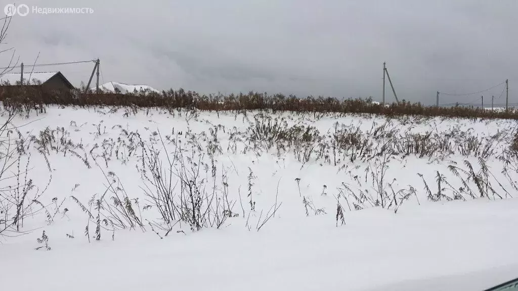 Участок в Завьяловский район, деревня Старое Михайловское (7.5 м) - Фото 1