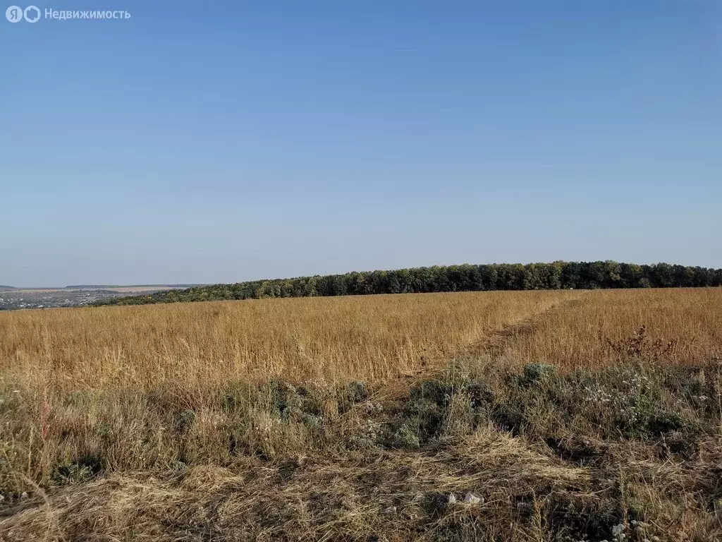 Участок в село Севрюково, микрорайон Севрюково 62.25 (67.6 м) - Фото 1