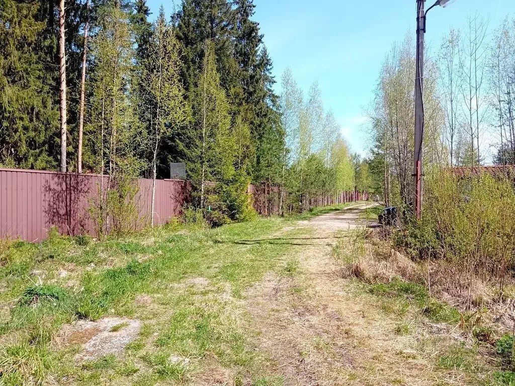 Участок в Ленинградская область, Гатчинский район, Вырица городской ... - Фото 1