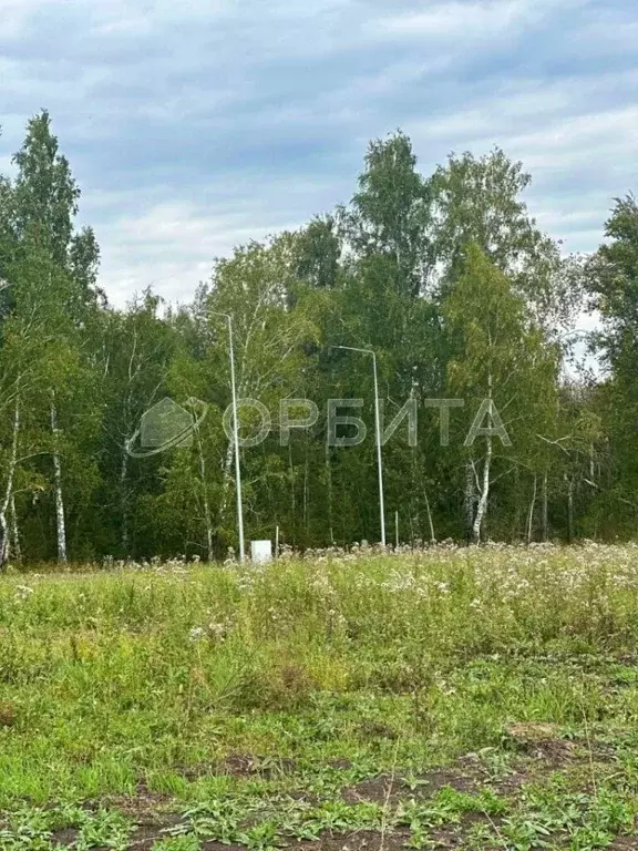 Участок в Тюменская область, Тюменский район, Новокаменский кп ул. ... - Фото 2