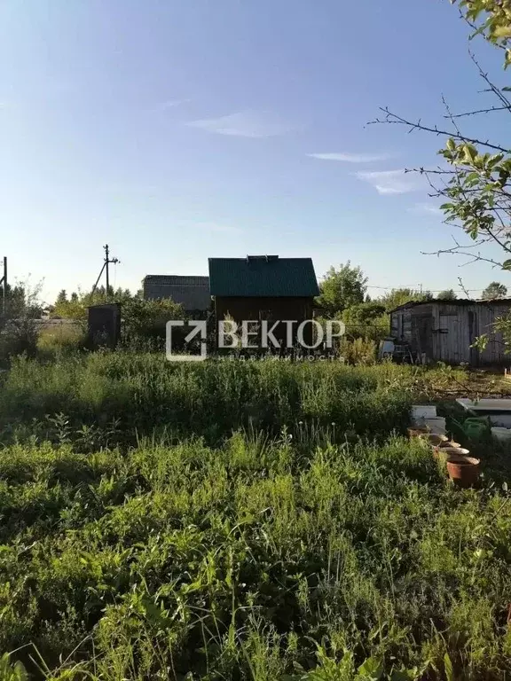 Участок в Костромская область, Кострома Полимер садоводческое ... - Фото 1