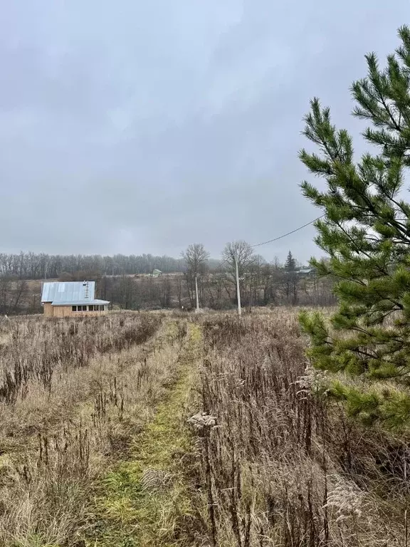 Участок в Тульская область, Ясногорский район, Ревякинское с/пос, д. ... - Фото 2
