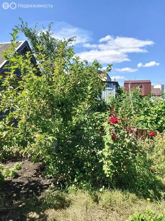 Участок в Димитровград, СТ Льнокомбинат-1, 102 (5.6 м) - Фото 1