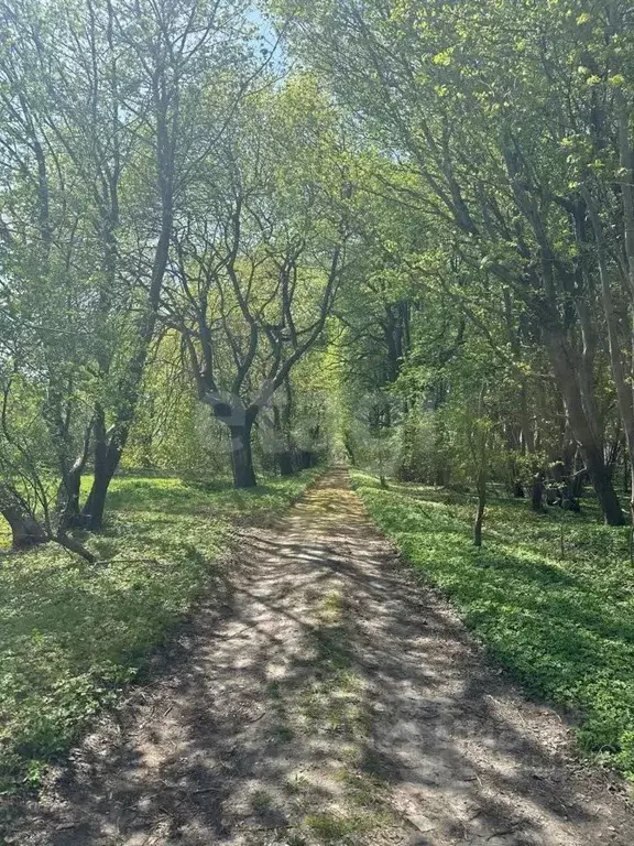 Участок в Калининградская область, Балтийский городской округ, пос. ... - Фото 1