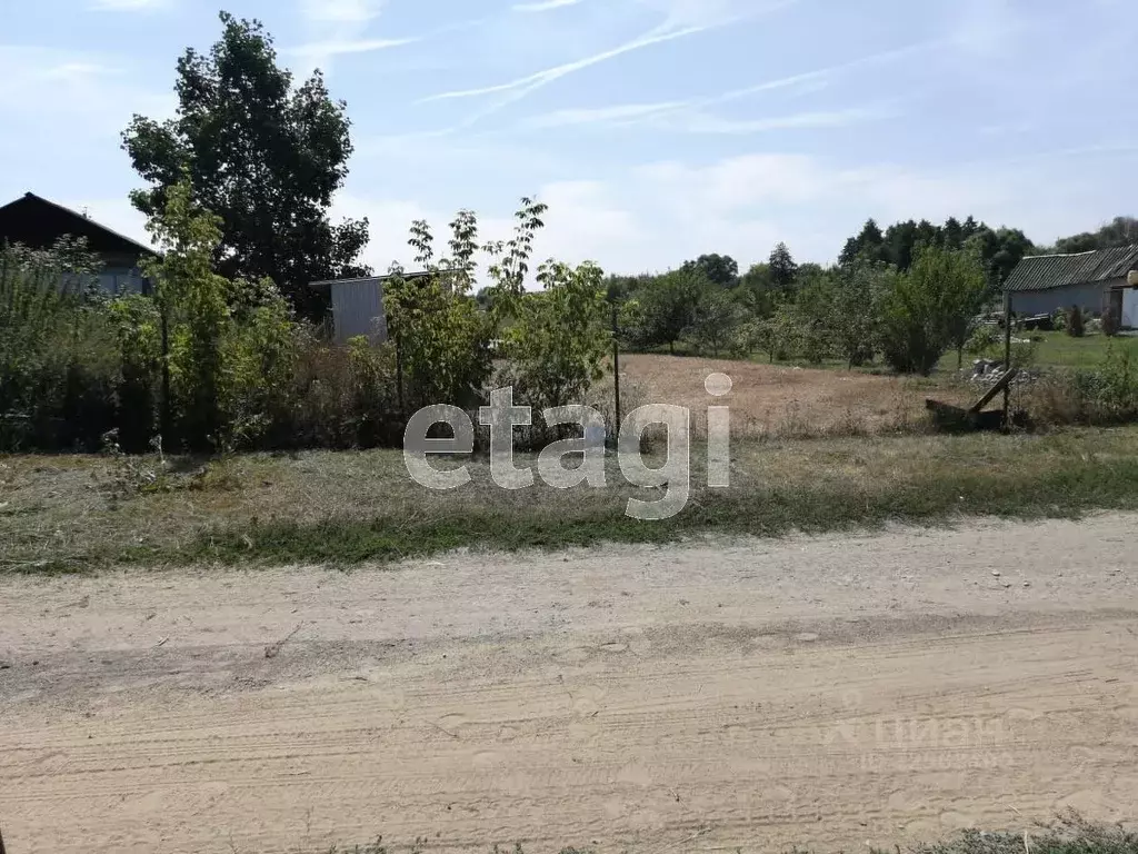 Село Медвежье Воронежская область. СНТ лебедь Воронеж. Село Медвежье ЛНР.