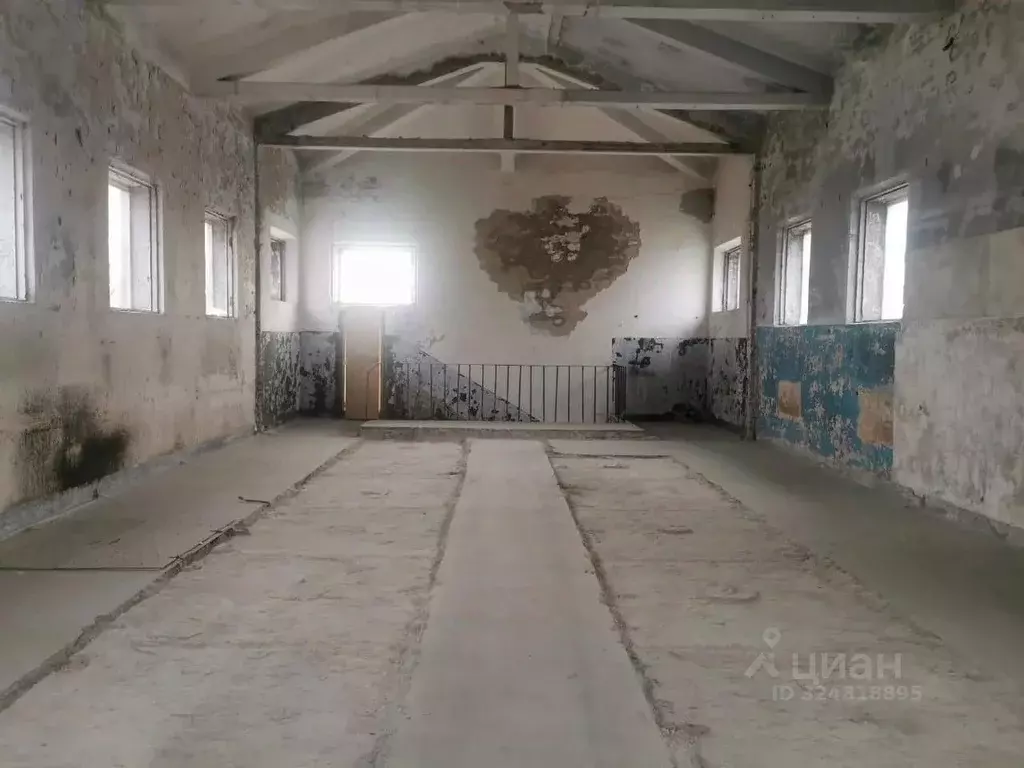 Офис в Санкт-Петербург Кожевенная линия, 32к8П (315 м) - Фото 1