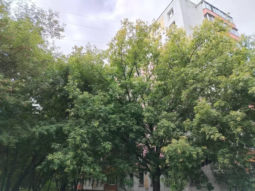 Свободной планировки кв. Москва Самаркандский бул., 9К1 (43.9 м) - Фото 1