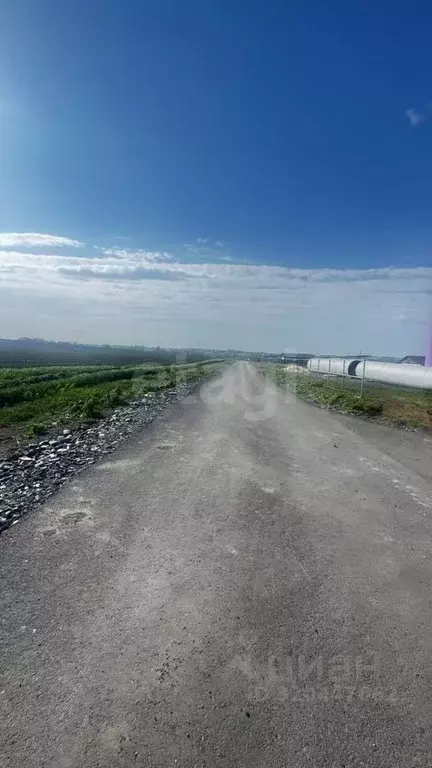 Участок в Белгородская область, Белгородский район, Головинское с/пос, ... - Фото 1