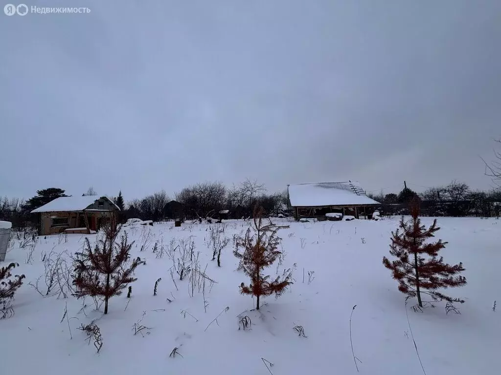 Участок в Пермский муниципальный округ, СНТ Исток, 12 (6 м) - Фото 2