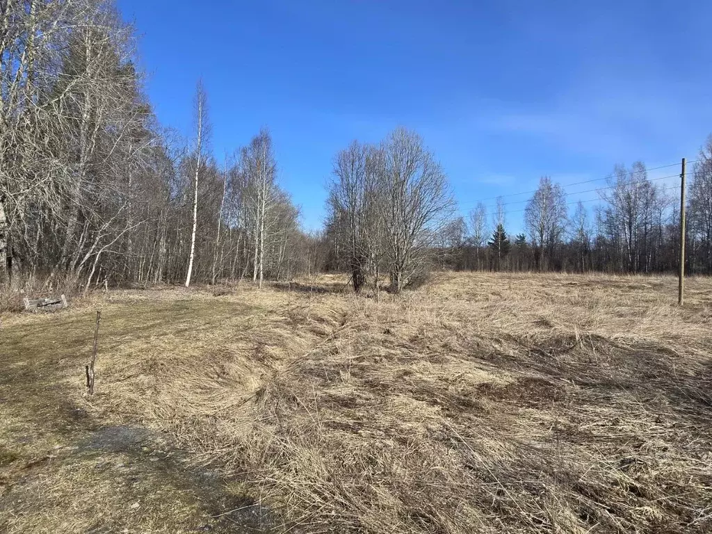 Участок в Карелия, Кондопожский муниципальный район, Кончезерское ... - Фото 2