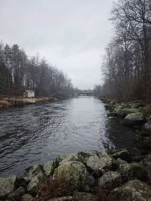 Участок в Ленинградская область, Приозерский район, Мельниковское ... - Фото 0