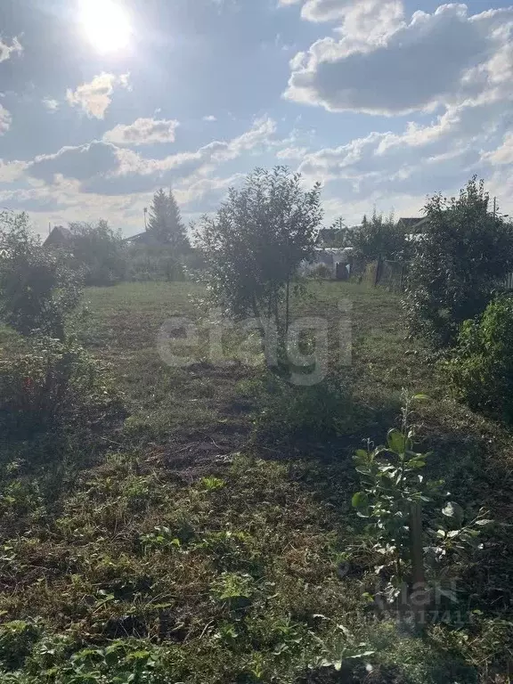 Дом в Курганская область, Далматово ул. Гоголя (23 м) - Фото 2