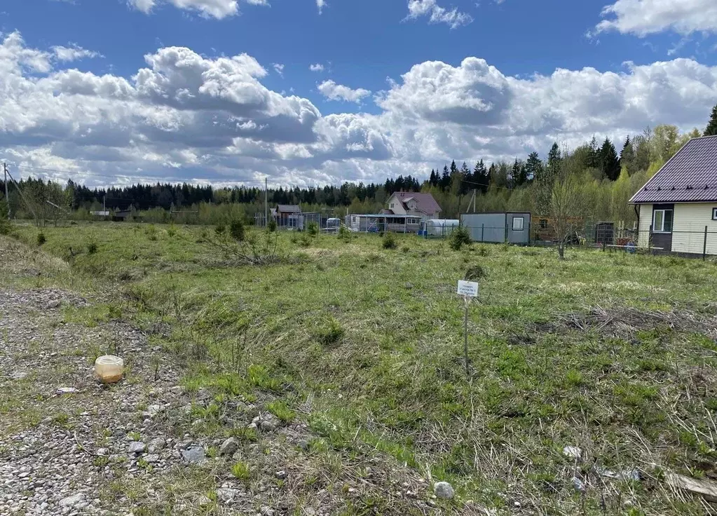 Участок в Московская область, Клин городской округ, Солнечногорье кп 5 ... - Фото 2