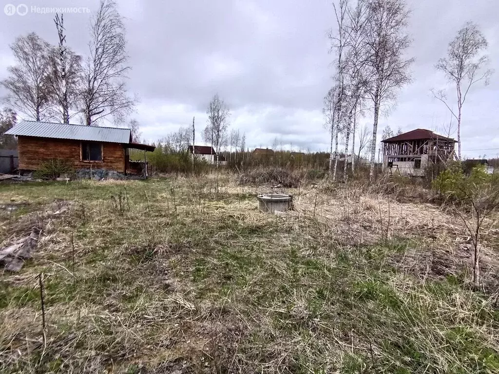 Участок в Ярославская область, Рыбинский муниципальный округ, деревня ... - Фото 2