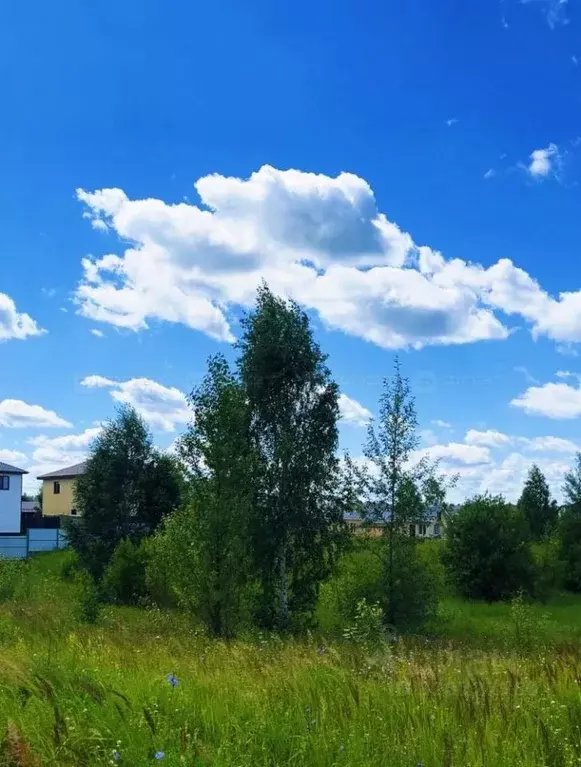Участок в Татарстан, Пестречинский район, Богородское с/пос, д. Куюки ... - Фото 0