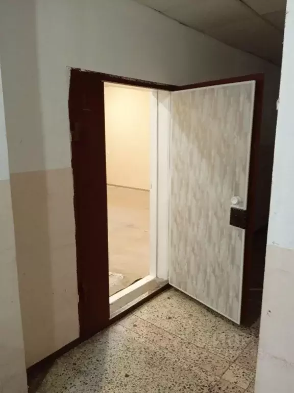 Помещение свободного назначения в Архангельская область, Мирный ул. ... - Фото 1