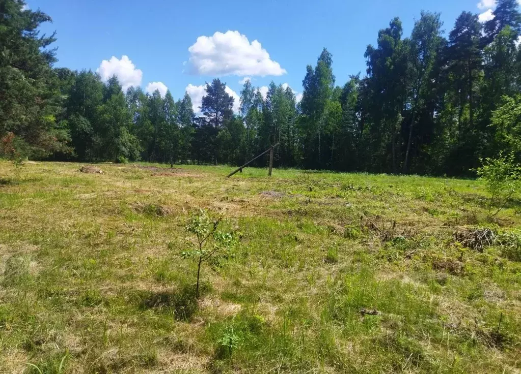 Участок в Московская область, Щелково городской округ, д. Дуброво  ... - Фото 2