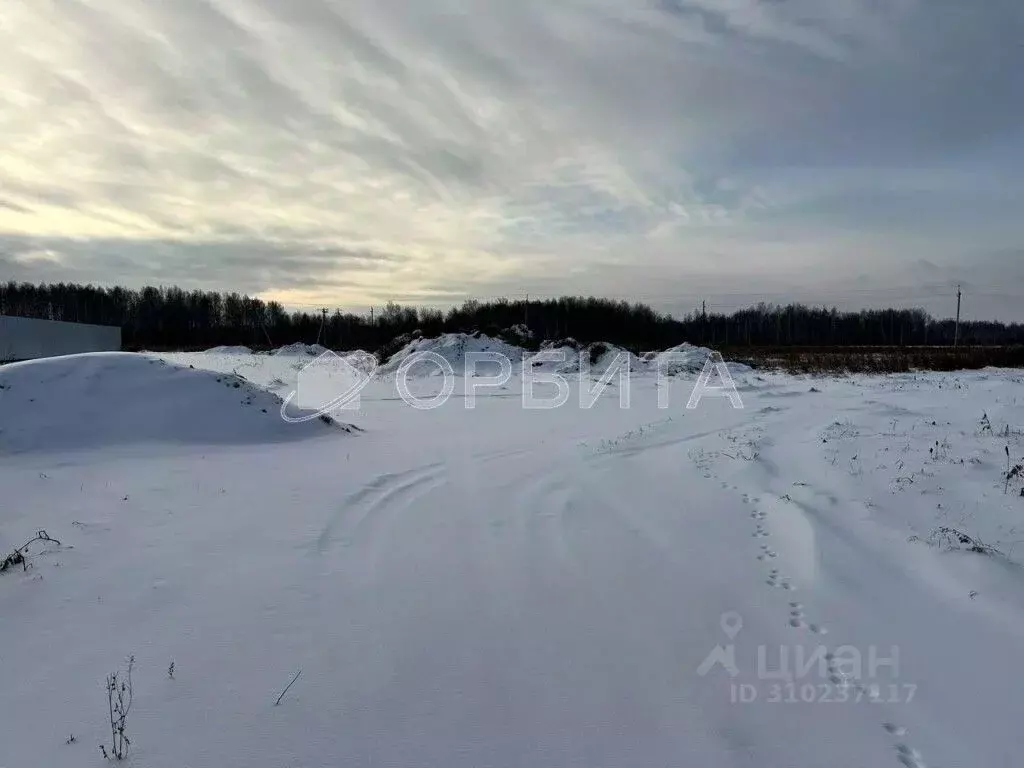 Участок в Тюменская область, Тюменский район, с. Горьковка  (50.0 ... - Фото 0