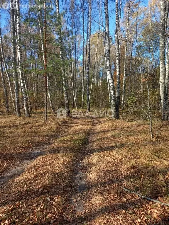 Участок в Судогодский район, муниципальное образование Лавровское, ... - Фото 1