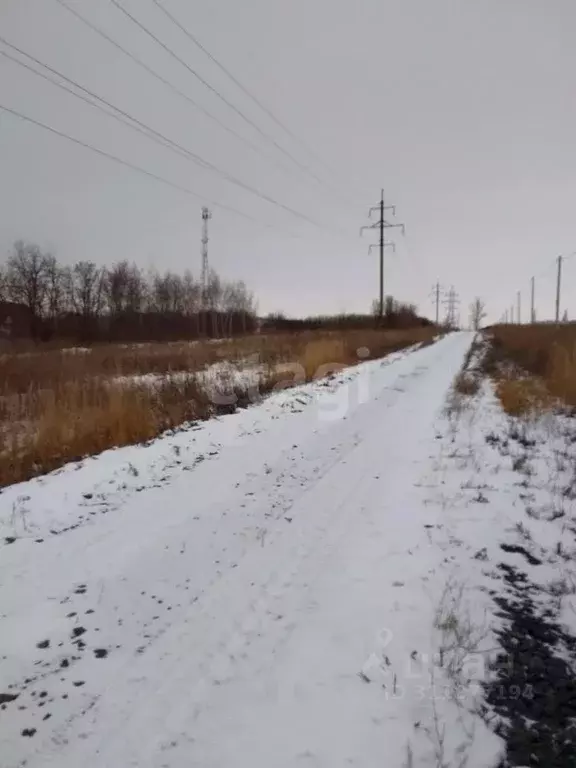 Участок в Белгородская область, Новый Оскол ул. Виноградная (15.0 ... - Фото 0